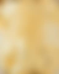Composition (preview)