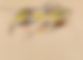 Ohne Titel (preview)
