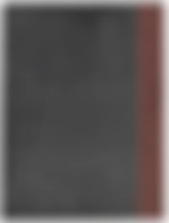 Ohne Titel (Bleibild) (preview)