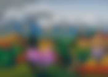 Dolcetto di Clavesana (preview)
