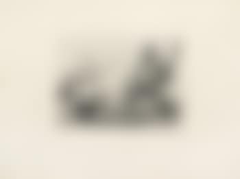 Ein guter Fang (preview)