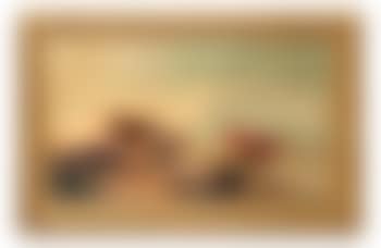 Armenti al pascolo (preview)