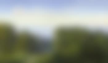 Ausblick auf eine sommerliche Landschaft am Meer (preview)