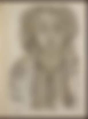 Senza titolo (preview)