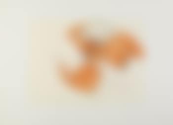 Nudo 2 [Nude 2] (preview)