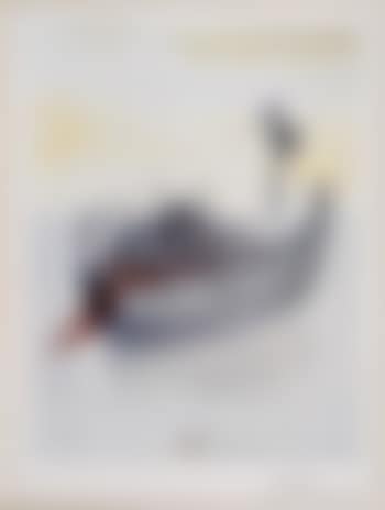 la barque du Nocher (preview)
