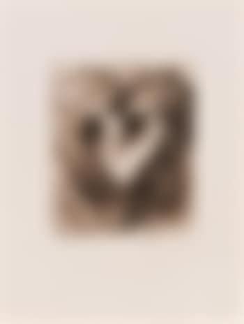 Nine studies for winter dream (preview)