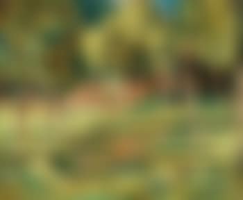 Paysage sur la Rance (preview)