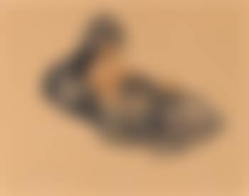 Puppies (preview)