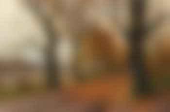 Scene of the Spreewald (preview)