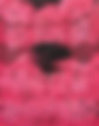 Arena (preview)