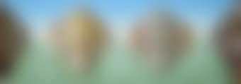 For the Venice Biennale (preview)