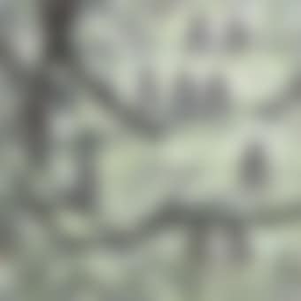 Plum blossom and birds (preview)
