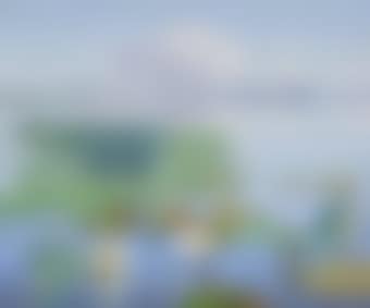 Water lilies with Loosdrecht in the distance (preview)
