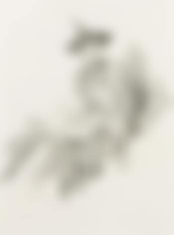 The winged hat (Ethel Birnie Philip) (preview)