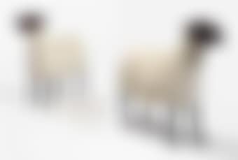 Deux Transhumants (preview)