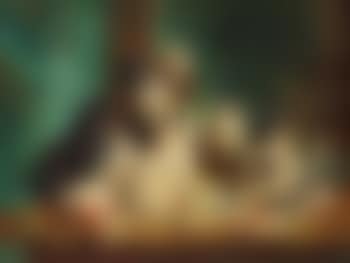 Playing Cats (preview)