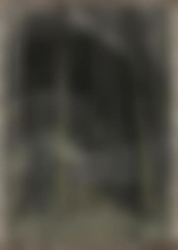 Nocturne trees (preview)