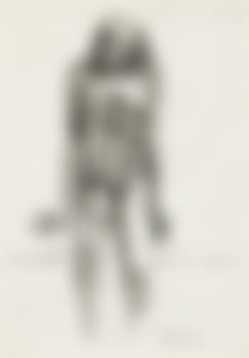 Desert nomad (preview)