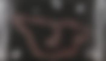 Aquila romana (negativo) (preview)