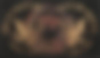 Half dollar (negativo) (preview)