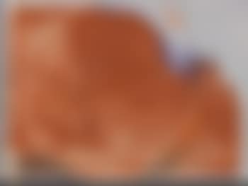 Svanshall (preview)