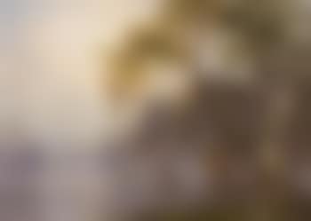 Near Lake Maurepas (preview)