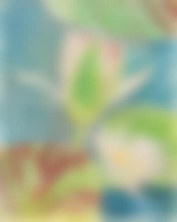 Waterlily (preview)