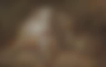 Study of a cow and a sheep in a woodland clearing (preview)
