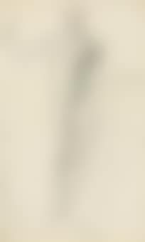 A study of a male nude, standing (preview)