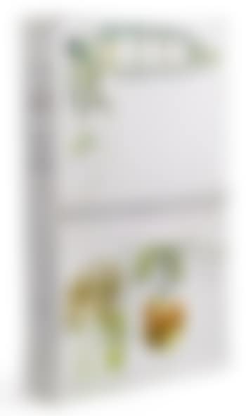 THE LARGE GLASS AND RELATED WORKS," VOL. I (S. 643) (preview)