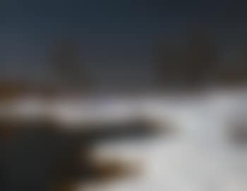 Winter Landscape (preview)