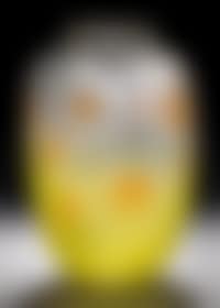 Vase (preview)