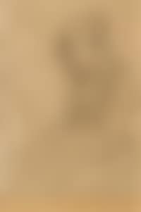 Old Woman with a Book (preview)