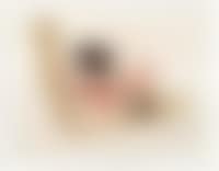 16.7.64 (preview)