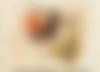 Rondine 31. Dez. 61 E (preview)