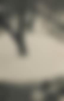 Vert-galant En Hiver (preview)