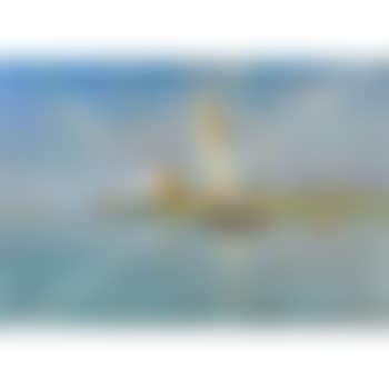 Grande marina con barche (preview)