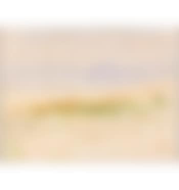 Landschaft am Neuenburgersee (preview)