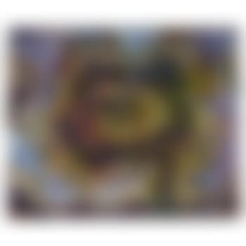 Solitude sonore / Echoing solitude (preview)
