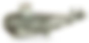 Rhinocéros (preview)