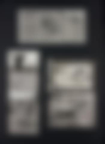 Selected Images (preview)