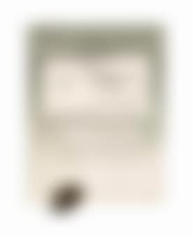 Liegendes Profil mit Schmetterling (1); Das Ohr von Giacometti (2) (preview)