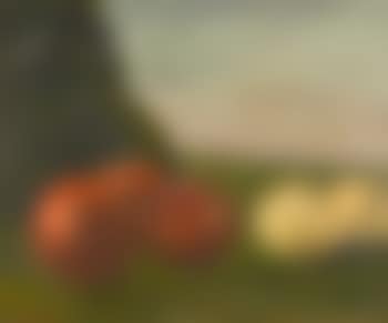 Nature Morte (preview)