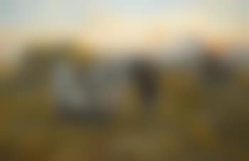 Harvest Festival (preview)