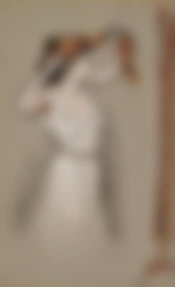 Femme qui coiffe (preview)