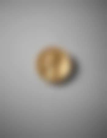 Portrait Medallion (Man in Profile) (preview)
