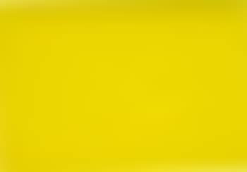 Two yellow ovals (preview)