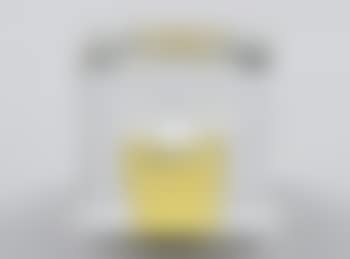 [Untitled] (preview)