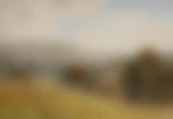 Mouton dans la prairie (preview)